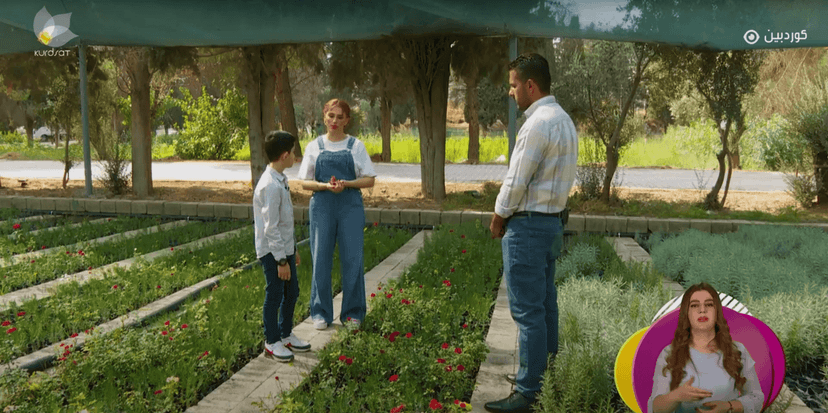 خەونی، رۆدین دانا